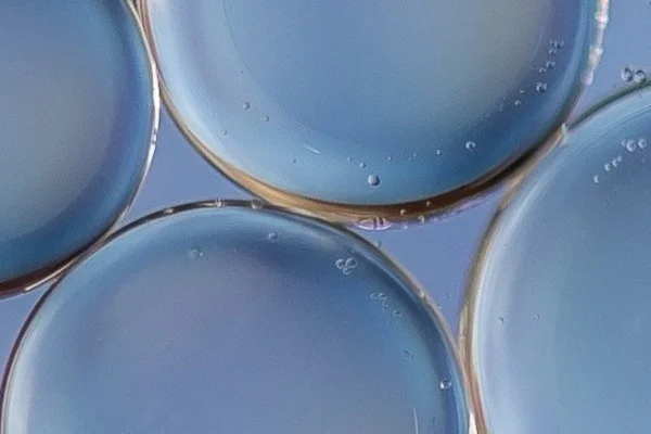 Embryosplitting - Unsplash, Alfred Schrock