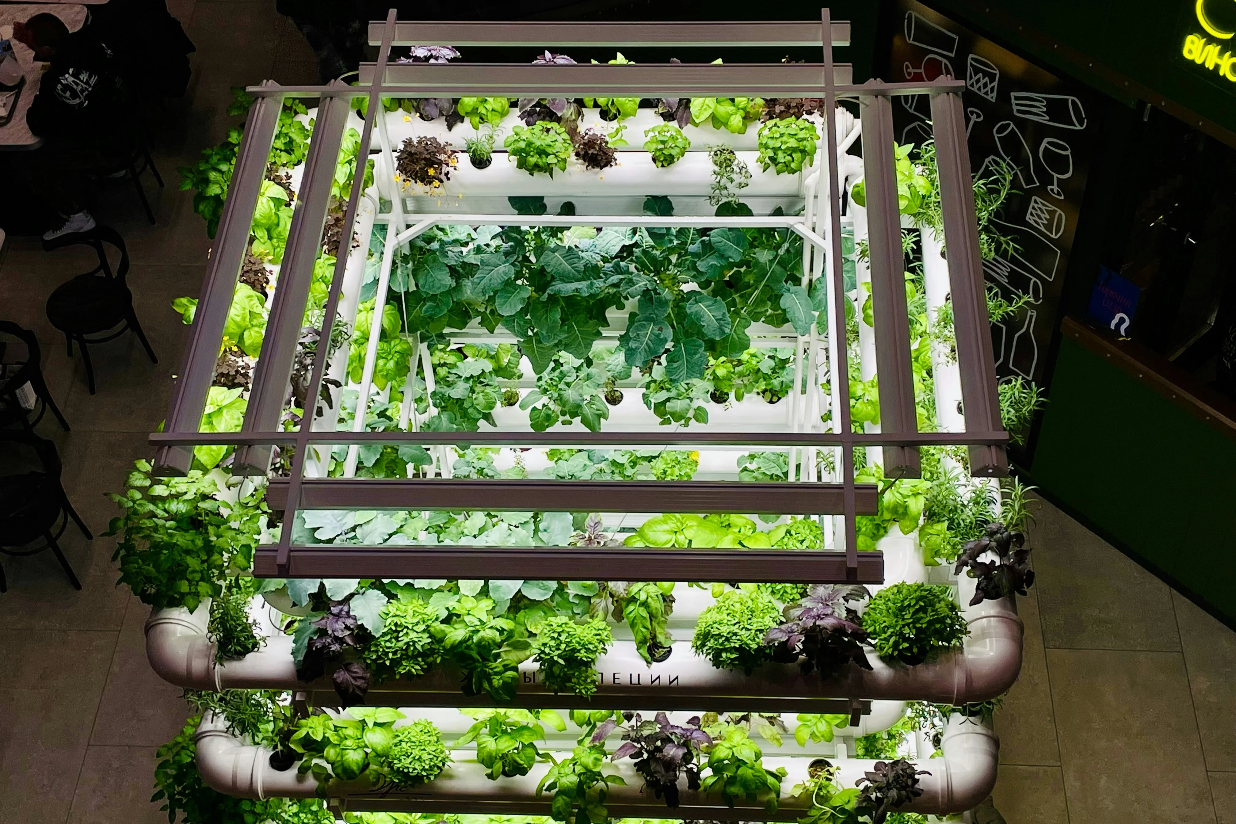 Tasha Kostyuk auf Unsplash (Version 2)